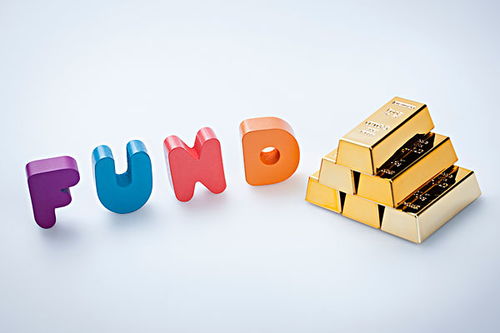 組合篩選，?；沁@樣煉成的 好買選基流程全解析與財務咨詢服務